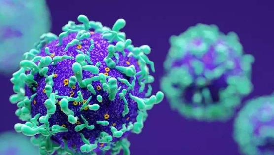 hpv是什么?怎么預(yù)防hpv?
