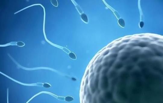 精子存活率受什么因素影響?精子存活率怎么治療?