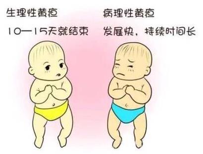 清黃樂(lè)對(duì)于新生兒黃疸的預(yù)防作用