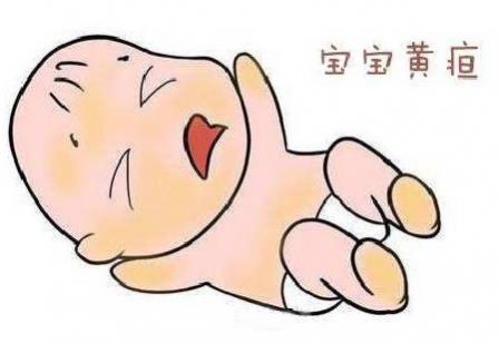 清黃樂(lè)對(duì)于新生兒黃疸的預(yù)防作用