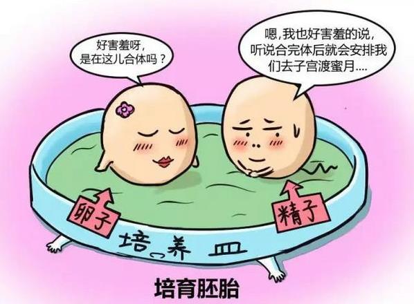 有關(guān)試管嬰兒的十個(gè)常見(jiàn)問(wèn)題優(yōu)貝貝生殖中心整理好了