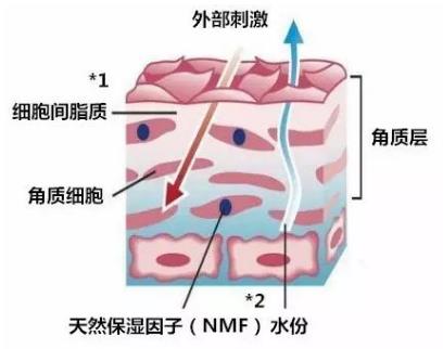 換季臉過敏發(fā)紅怎么辦?好的敏感肌膚護(hù)膚品哪種好?