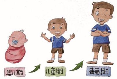 安徽哪個生長發(fā)育專家比較好?