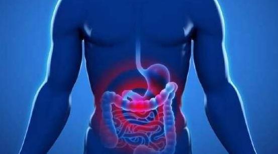 怎么預(yù)防腸道不好?引起腸道不好的原因有哪些?