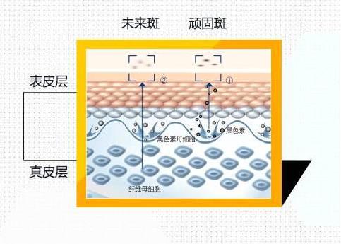 重慶當(dāng)代整形醫(yī)院服務(wù)怎么樣 精湛的技術(shù)還你美麗新容顏