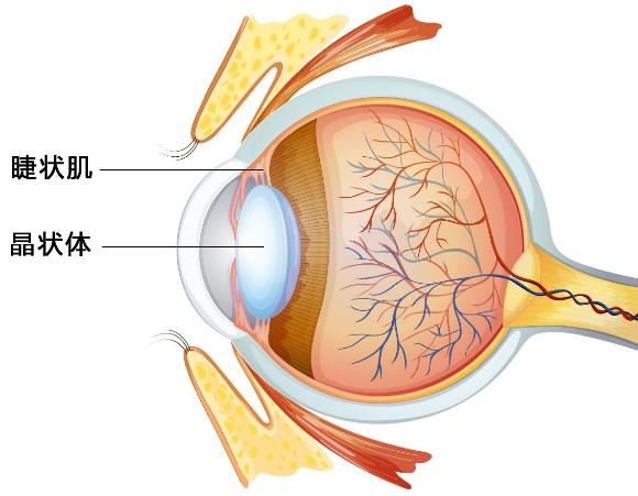 北京茗視光眼科為您揭秘常見的“治療近視”騙局