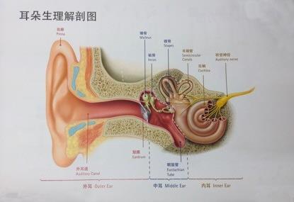助聽器怎么買最合適在哪兒能買到
