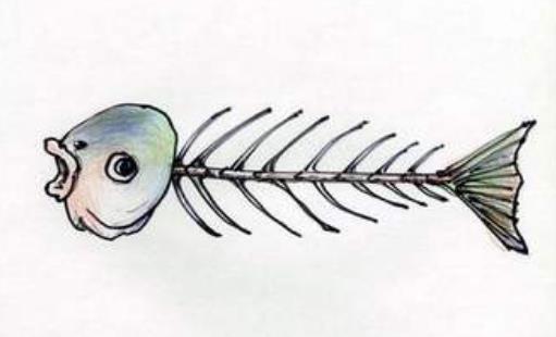 魚刺卡喉應(yīng)該注意什么?被魚刺卡住了怎么辦?