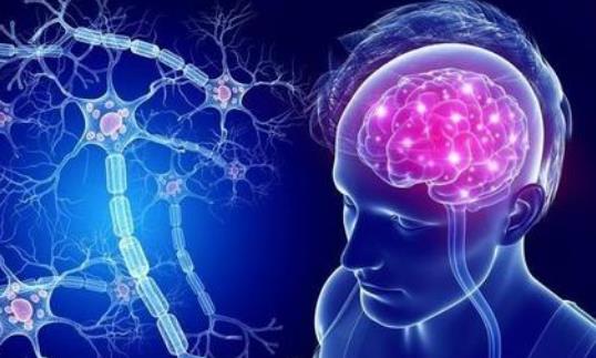 腦供血不足會有哪些癥狀?腦供血不足吃什么好?