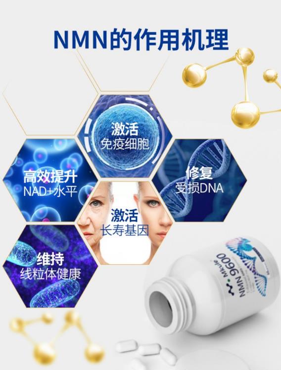 黃磊為多多送上50年后的禮物:任時光流逝,我愿永遠守護在你身旁