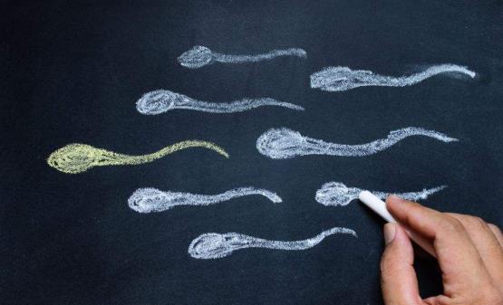 哪些人容易患無精癥?患無精癥怎么調(diào)理?