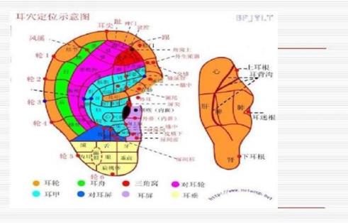 耳穴埋豆是什么?耳穴埋豆需要注意什么事項