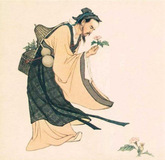 九制黑芝麻丸哪家正宗,多少錢一罐