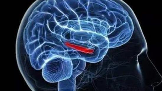 腦血栓的早期癥狀是什么?腦血栓會(huì)引起哪些并發(fā)癥?