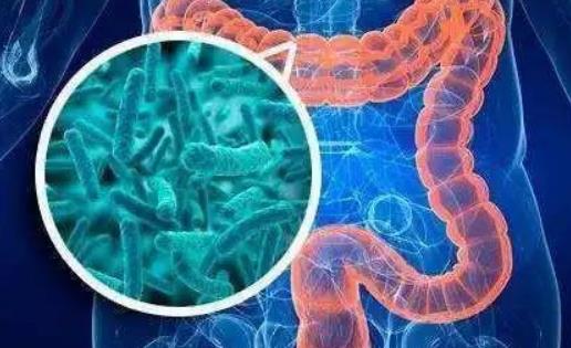 大腸腫瘤有哪些癥狀?引起大腸腫瘤的原因有哪些?