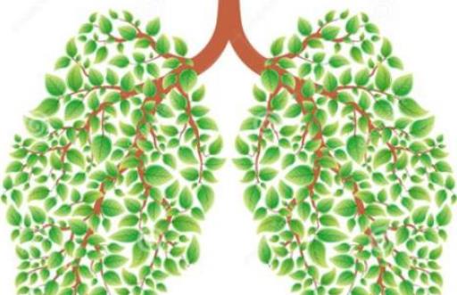 什么是過敏性肺炎?引起過敏性肺炎的原因有哪些?
