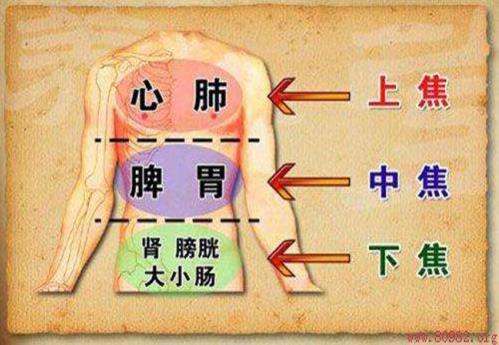 太乙堂馬。褐委熂谞钕俳Y(jié)節(jié),宜從肝脾入手