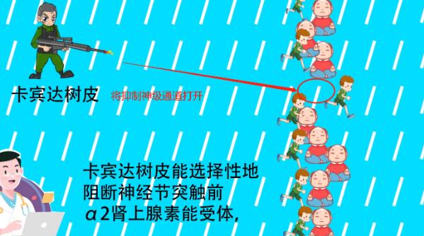 卡賓達(dá)樹皮是一種α2腎上腺素阻斷劑