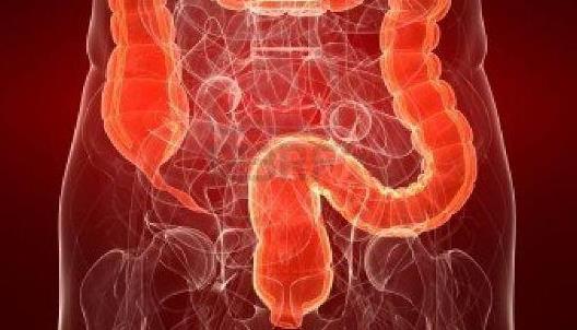 誘發(fā)潰瘍性結(jié)腸炎的原因有哪些?潰瘍性結(jié)腸炎有哪些癥狀?