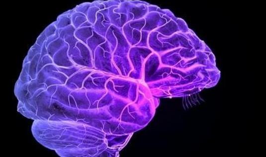 腦血管痙攣有哪些危害?為什么會(huì)患腦血管痙攣?