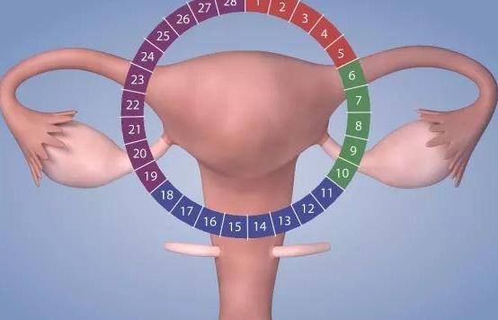 子宮內(nèi)膜增生有哪些疾病分類?子宮內(nèi)膜增生有哪些癥狀?