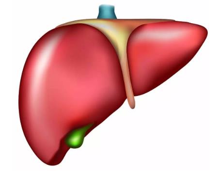 膽囊息肉能治愈嗎?膽囊息肉不能吃什么