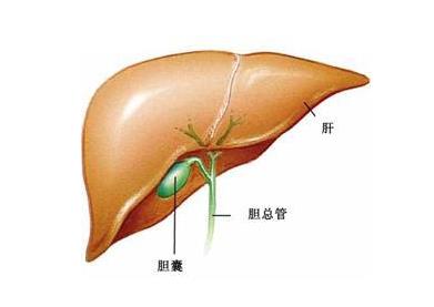 膽囊息肉能治愈嗎?膽囊息肉不能吃什么