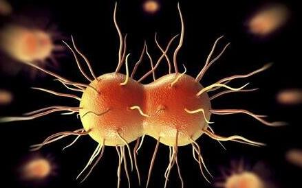輪狀病毒感染如何治療?輪狀病毒性腹瀉的飲食禁忌