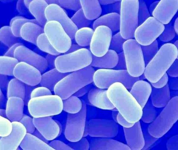 你了解益生菌嗎?法國(guó)國(guó)民品牌Probiolog帶你三分鐘了解益生菌