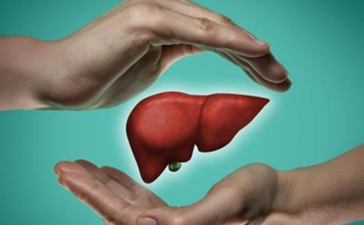 什么是肝硬化性腎損害?肝硬化性腎損害的癥狀