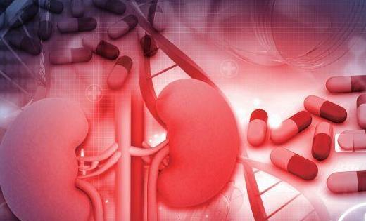 什么是肝硬化性腎損害?肝硬化性腎損害的癥狀