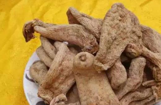 吃天麻會有哪些副作用?天麻有哪些作用?