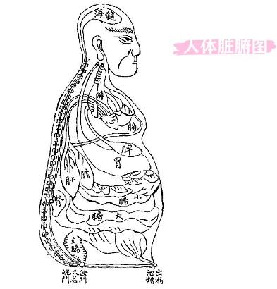 成都寶芝堂中醫(yī)腫瘤醫(yī)院孫蓉德:腫瘤治療,當死守脾腎二臟