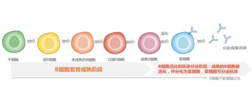 泰愛獲批,為你解讀“狼”的幕后黑手