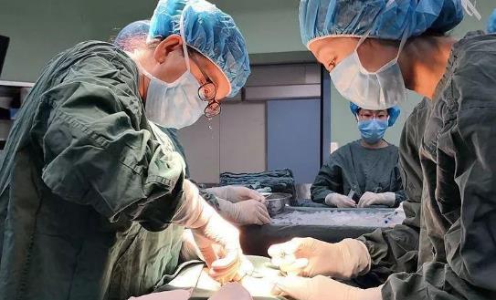 什么是骨髓移植?骨髓移植失敗會(huì)馬上死掉嗎?
