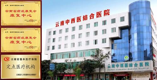 云南中西醫(yī)結(jié)合醫(yī)院腫瘤專家任敏海:專注抗癌40余年