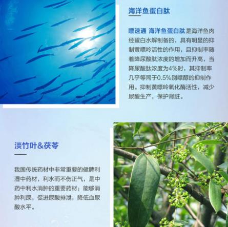 上藥九旭尚醫(yī)樹嘌速通:痛風(fēng)不再痛,年輕的生命本應(yīng)如此精彩
