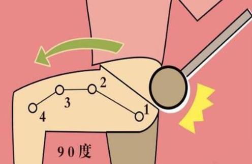 敲打膽經(jīng)為什么能減肥排毒?膽經(jīng)在哪個地方?