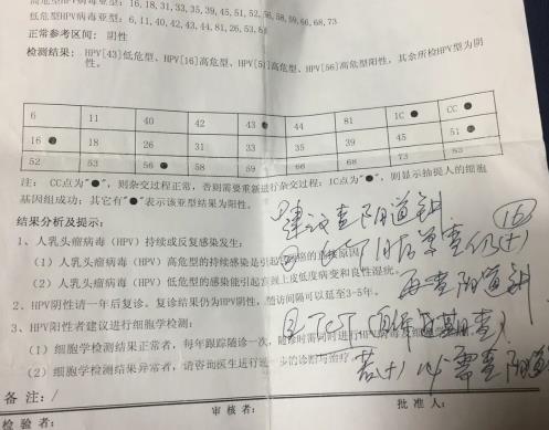 3個高危1個低危HPV感染,轉(zhuǎn)陰經(jīng)歷分享給大家