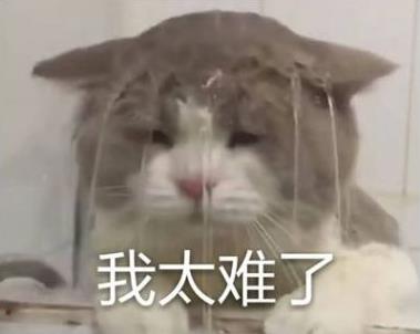 綿陽韓美醫(yī)療美容彭太平 認真對待每一位求美者