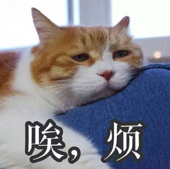 敏感肌用了都夸上天的水乳在這里!