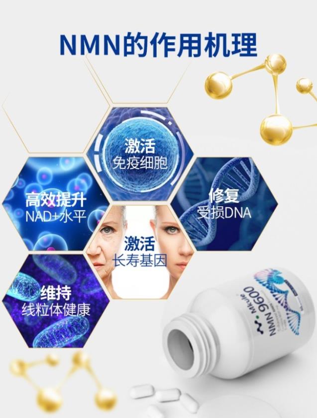 Mkule(邁肯瑞爾)助力健康產(chǎn)業(yè)發(fā)展,支持NMN產(chǎn)業(yè)生態(tài)