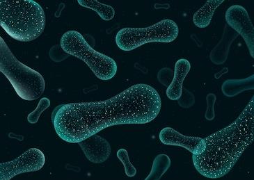 長期加班熬夜微生態(tài)紊亂?lifespace益生菌幫你改善