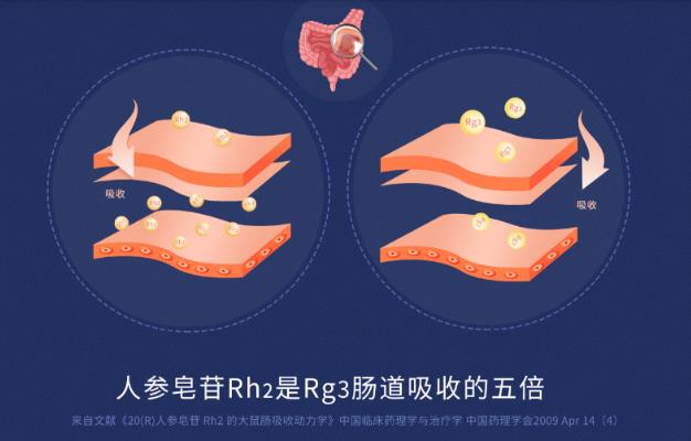 哪種人參皂苷Rg3好