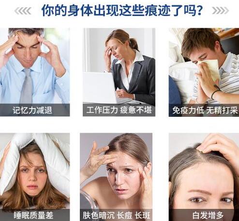 實戰(zhàn)派與學院派的完美結(jié)合NMN繼續(xù)譜寫輝煌