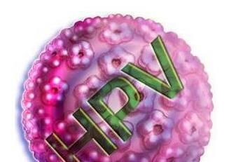 HPV有了最新發(fā)現(xiàn) 再也不怕HPV感染了