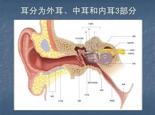 成都民生耳鼻喉醫(yī)院提醒:除了小心中耳炎,更要警惕中耳癌!