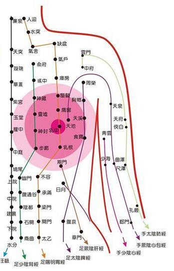 北京電視臺(tái)BTV公共頻道《品質(zhì)生活》欄目專訪福乳堂乳腺貼多少錢一盒