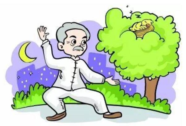 老齡化加劇應(yīng)多關(guān)注失能老人 防止肌肉流失有助老人健康