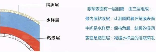 噴霧也能緩解視覺疲勞?康視雅液體敷料眼噴霧帶來“黑科技”